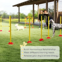 Zestaw Agility dla psów PawHut, 3 elementy, treningowy(m-7)