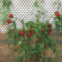 Siatka ochronna do roślin 2,5x1,2mm, z drzwiami, stalowa rama(m-8)