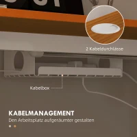 Vinsetto Biurko Regulowane Wysokością, Elektryczne 120 x 60 cm, z 3 Programowalnymi Ustawieniami Wysokości, Ergonomiczne Biurko z Systemem Anti-Kollision, 2 Haki, Naturalny Kolor(m-6)