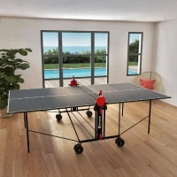 SPONETA - Table Tennis de table - Table Ping Pong Compacte - Usage Intérieur - Gris et noir(m-3)