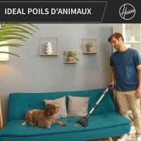 Aspirateur traineau sans sac - HOOVER - HP321PAF - 850 W - 75 dBA - 2 L - Gris(m-4)