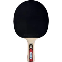 Raquette de tennis de table - SCHILDKRÖT - LEGENDS 900 FSC(m-2)