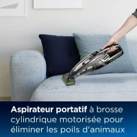 Aspirateur portable sans fil BISSELL - 2278N Pet Hair Eraser Hand Vacuum(m-2)