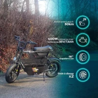 Draisienne électrique - URBANGLIDE - Thunder 160 - 400W - 16 - Adulte - Pliable - Gris(m-2)