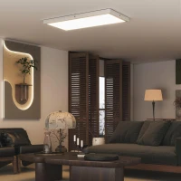 HOMCOM Set 2 Plafoniere LED Sottili e Minimal con Colore Regolabile, in Acciaio e Plastica, 60x30x3.7 cm, Bianco(m-7)