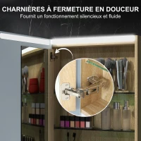 HOMCOM Armoire murale meuble salle de bain avec miroir, éclairage LED et étagères en verre réglables 50x12,5x70cm, bois naturel(m-6)