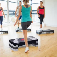 HOMCOM Step fitness aerobic stepper hauteur reglable surface antiderapante 78x29x20 cm(m-2)