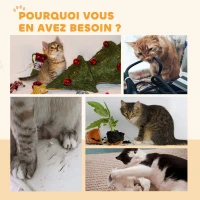 PawHut Roue d'exercice pour chat roue de course pour chat frein sécurisé et tapis de grattage amovible silencieux 91 cm marron(m-9)