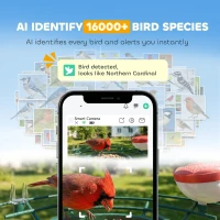 PawHut Smart Bird Feeder Camera 2K HD with AI Identifies 16,000+ Species, 2K HD Auto Capture Video, APP Instant Notifications(m-4)