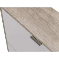 Meuble a chaussures - 4 Portes - Chene et blanc - 75x24x154 cm - Leona(m-5)