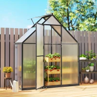 Outsunny Polycarbonate Greenhouse with Swing Door and Adjustable Window, Walk-in Greenhouse, 5.5 x 6.5ft, Black(m-8)
