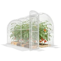 Outsunny Serre de jardin tunnel 3 x 2 x 2 m 6 m² avec porte à charnières bâche en PE 150 g/m² pour Légumes Plantes Fleurs(m-11)