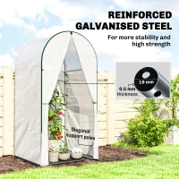 Outsunny Mini Greenhouse, Portable Green House with Roll-Up Door, PE Base, Small Greenhouse, 100 x 100 x 195 cm, White(m-4)