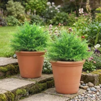 HOMCOM Kunstmatige Bostonvarenbossen UV-bestendig, kunstplanten met pinnen, set van 2, 60 cm voor tuin en veranda(m-2)