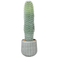HOMCOM Cacto Artificial 66 cm, Planta Artificial Decorativa com Vaso para Decoração de Interiores Verde(m-11)