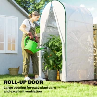 Outsunny Mini Greenhouse, Portable Green House with Roll-Up Door, PE Base, Small Greenhouse, 100 x 100 x 195 cm, White(m-7)