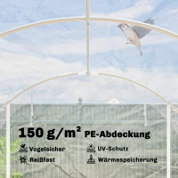 Outsunny Polytunnel-kas, begaanbare kas met verzinkt stalen frame en UV-bestendige PE-bekleding, transparant(m-5)
