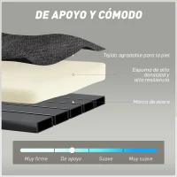 HOMCOM Sofá Cama de 2 Plazas Plegable Tapizado en Chenilla con Acolchado Grueso Reposabrazos Anchos 2 Almohadas Gris Oscuro(m-5)