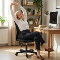 Vinsetto Computer Desk Chair, Armless Mesh Office Chair with Adjustable Height and Rolling Wheels, Black(m-6)