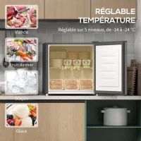 HOMCOM Mini congélateur Température Réglable de -14 à -24°C Compact 35L - Porte réversible Classe E - 47x44,2x48,8cm - Gris(m-4)