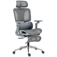 HOMCOM Ergonomic Office Chair, High Back Mesh Desk Chair, Grey(m-1)