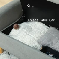 HOMCOM Canapea cu 2 Locuri, Brațe, Compartiment de Depozitare și 2 Perne, 140x72x82 cm, Gri(m-5)