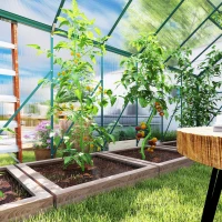 Outsunny Serre de jardin en aluminium polycarbonate avec fondation, serre avec fenêtre réglable porte coulissante 244x500x216cm(m-9)