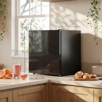 HOMCOM Mini lodówka 44 l/46 puszek Mała lodówka z regulowanym termostatem 43 x 51 x 51,3 cm, Czarny(m-3)