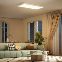 HOMCOM Juego de 4 Lámparas de Techo Color Regulable con Interruptor DIP y de Pared 3000K/4000K/6000K 60x30x3,7 cm Blanco(m-2)