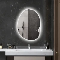 HOMCOM Specchio da Bagno Illuminato a LED con Colore e Temperatura Regolabile, in Vetro Temperato, 70x5x50 cm, Argento(m-2)