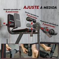 SPORTNOW Máquina de Extensión y Curl de Piernas Ajustable con Carga de Placas para Entrenamiento de Cadera Muslos en Gimnasio(m-6)