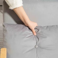 HOMCOM 4-in-1 Velvet-Feel Double Sofa Bed, with Pillows - Light Grey(m-12)