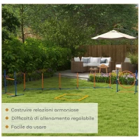 PawHut Set Agility Dog con Anello e Barra per Salto, Paletti Slalom, Fischietto, Palline e Borsa, Arancione(m-6)