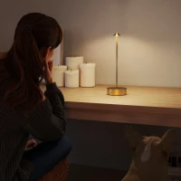 HOMCOM Juego de 2 Lámparas de Mesa LED Recargables con USB y Control Táctil y Luz Regulable Ø10x30 cm Dorado(m-8)