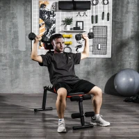SPORTNOW Banc de musculation dossier réglable 5 niveaux banc d'haltère multifonctionnel acier revêtement synthétique noir(m-10)