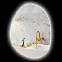 HOMCOM Miroir de Salle de Bain Asymétrique LED 70 x 50 cm - 3 couleurs, anti-buée, montage mural avec interrupteur tactile(m-11)