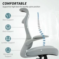 HOMCOM Scaun de birou ergonomic cu cotiere reglabile și tetieră, gri(m-4)