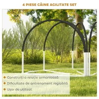 PawHut Kit de Antrenament cu Obstacole pentru Animale de Companie, Set Echipament de Agilitate pentru Câini, 89x69x99 cm, Portoccaliu(m-5)