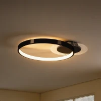 HOMCOM Plafoniera LED Moderna a 2 Anelli con Temperatura Colore Regolabile, Potenza 30W, Nero(m-11)