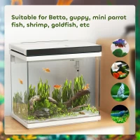 Akwarium 26L z filtrem, oświetlenie LED, 38 x 26 x 38 cm(m-7)