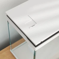 PawHut Acuario para Peces Dorados 26 L con Luces LED, Sistema de Filtrado y Bomba de Agua, 38x26x38 cm, Blanco(m-4)