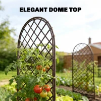 Outsunny Garden Arch, Garden Arbor with 8mm Wicker and Dome Top, Natural Wood Finish(m-5)