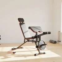 SPORTNOW Verstelbare halterbank tot 300 kg 3-in-1 trainingsbank met wieltjes Beentrainer Curlbank hoofdsteun weerstandsbanden(m-11)