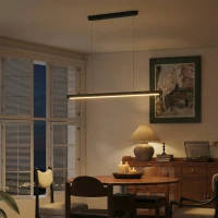 HOMCOM Suspension avec télécommande et fonction mémoire, dimmable avec températures de couleur réglables(m-5)