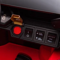 HOMCOM Coche Eléctrico para Niños de +3 Años Lamborghini SIAN Coche de Batería 12V con Mando a Distancia Apertura de Puerta Música MP3 USB y Faros 3-5 km/h 108x62x40 cm Rojo(m-10)