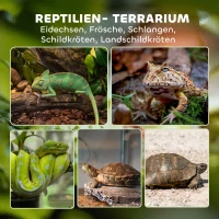 PawHut Terrarium für Reptilien Glasterrarium 48L mit Frontbelüftung Steinrückwand Drehverschluss 50 x 30 x 35 cm Schwarz(m-4)