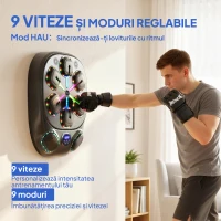 SPORTNOW Aparat de Box Muzical Montat pe Perete cu 9 Moduri, Lumini LED și Conexiune Bluetooth, 61x48x11 cm, Negru(m-4)