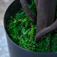 Outsunny Pianta Artificiale Glicine Bianco Finto con Vaso per Interni ed Esterni, Bianco e Verde Ø18 x 165cm(m-9)