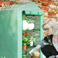 Outsunny 3 Tier Mini Greenhouse Portable Garden Grow House with Roll Up Door and Wire Shelves, 69 x 49 x 125 cm, Green(m-5)