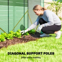 Outsunny Mini Greenhouse, Garden Tomato Growhouse with Roll-Up Door and 2 Mesh Windows, PE Cover, 200 x 75 x 188 cm, Green(m-4)